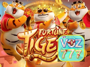 Guia install APK VOZ777 BR