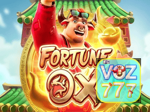 VOZ777 login — painel de entrada no app oficial